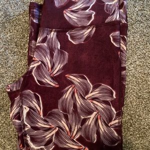 Champion leggings, crop